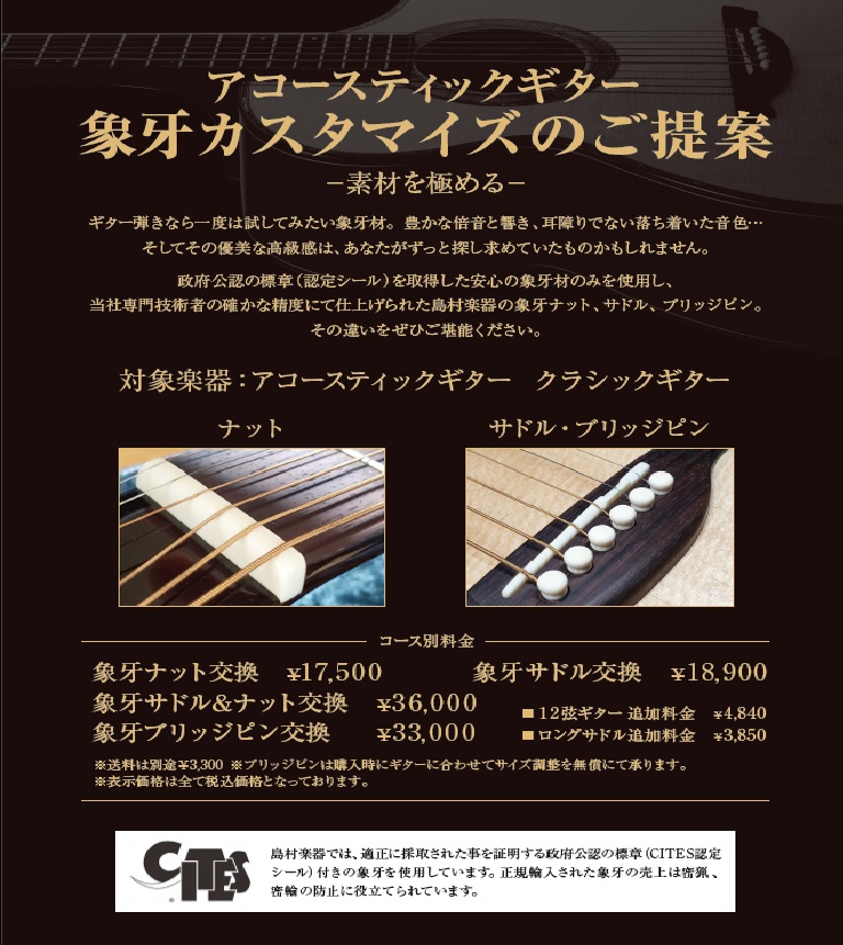 福岡ギター修理のすゝめその76 象牙カスタマイズ 島村楽器 岩田屋福岡店 シマブロ