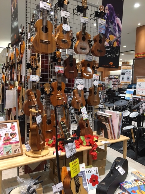 秋の夜長は楽しくウクレレ 日頃から気になっているウクレレにチャレンジしませんか 島村楽器 プレ葉ウォーク浜北店 シマブロ