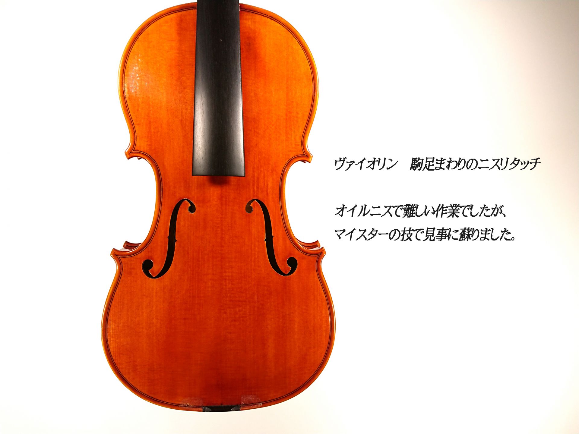 福田英明先生による楽器選定シリーズ！【クレモナ弦楽器製作学校