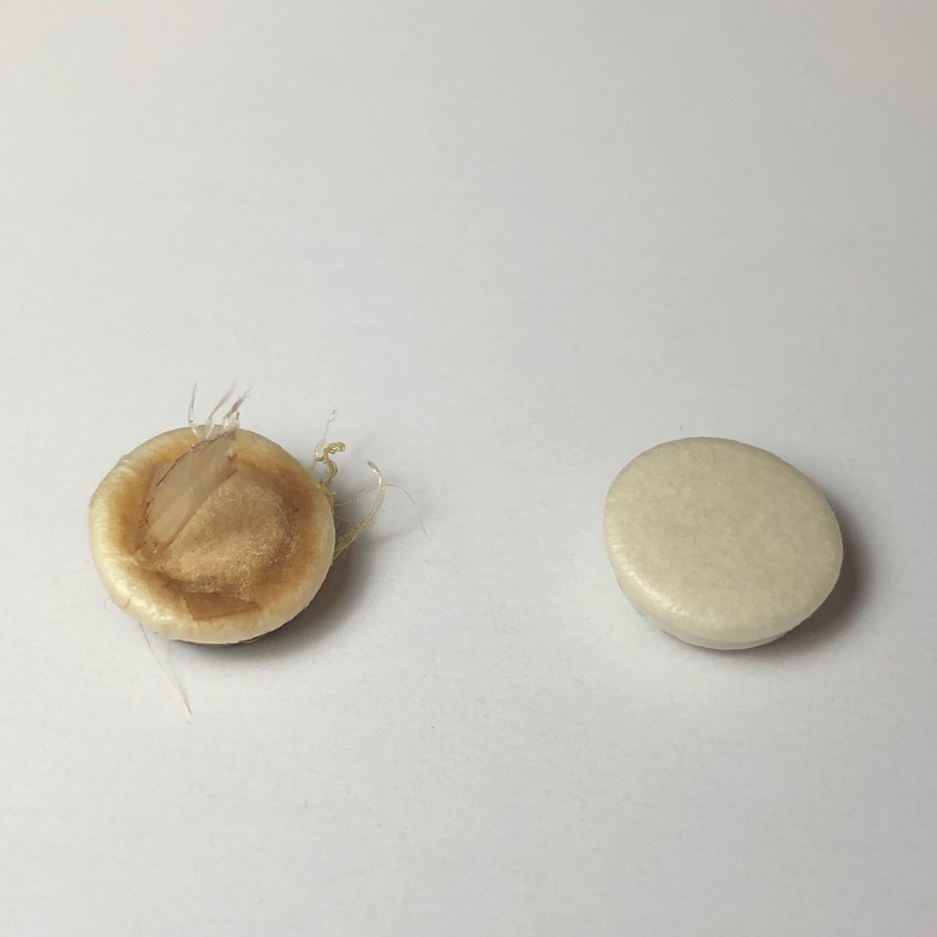 ピストンラップハンドル　管楽器修理　リペア工具 Amazon | Tachiuwa 管楽器 板金工具 アクセサリー へこみ修理
